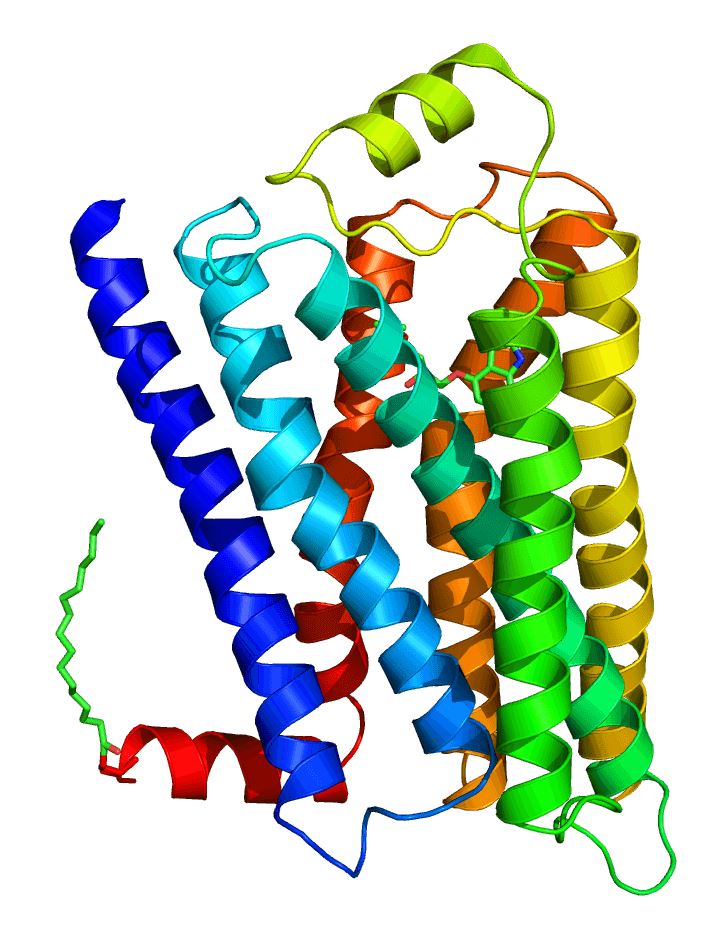 SLC17A7 Membrane Protein Introduction