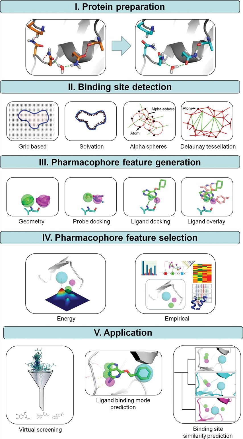 Structure-based pharmacophores modeling and screening.