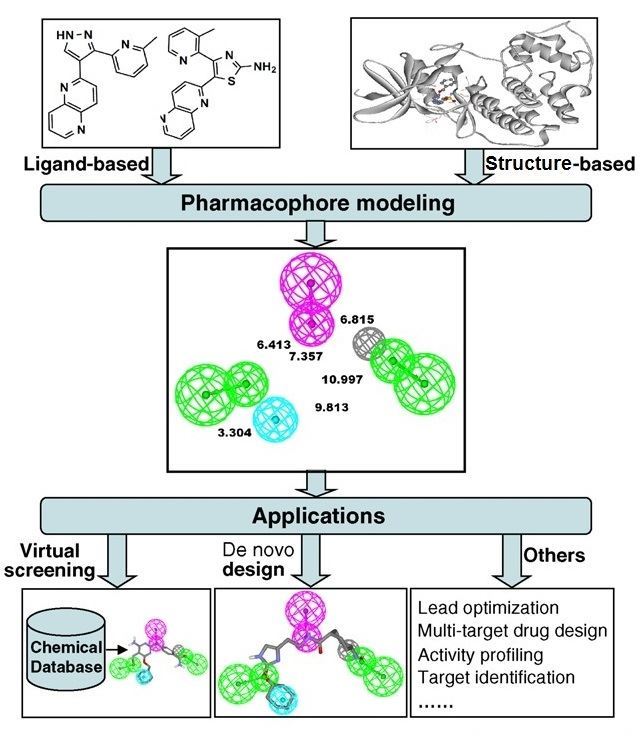 The full framework of pharmacophore architecture.