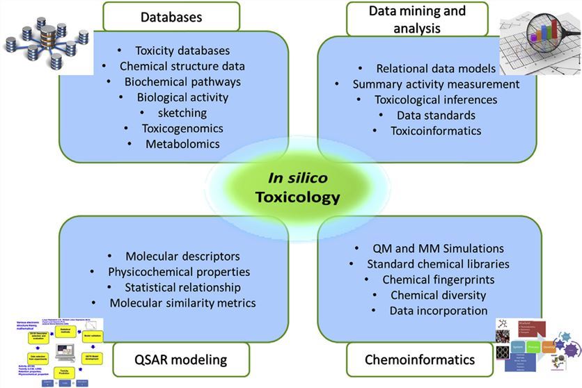 In silico toxicology databases, methods to generate prediction models, and categories of prediction models.