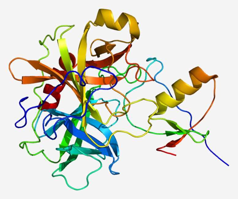 The structure of SPINK1.