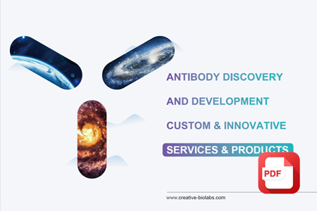 Antibody Discovery and Development Services & Products