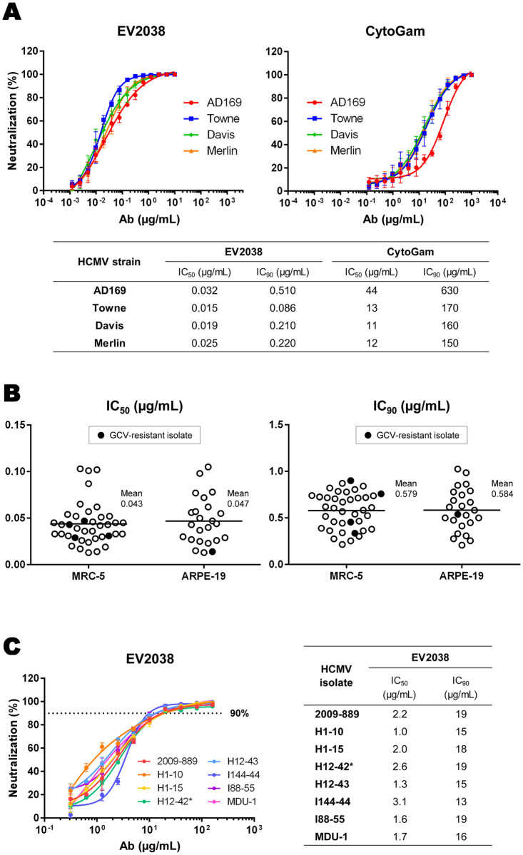 A fully human neutralizing mAb targeting human cytomegalovirus glycoprotein B.