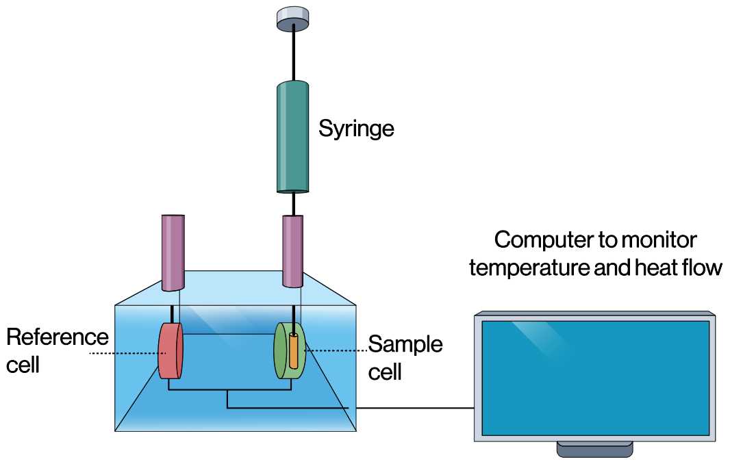 Fig. 1 Principle of differential scanning calorimetry (DSC). (Creative Biolabs Authorized)