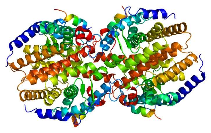 Fig.2 Overall crystal structure of the CAR. (https://commons.wikimedia.org/wiki/File:Protein_NR1I3_PDB_1xv9.png)