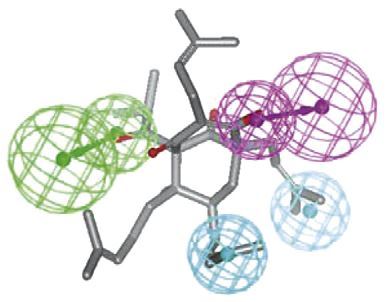 Structure-based Nuclear Receptors Modeling for Dermatology Research