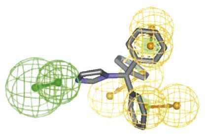 Structure-based Nuclear Receptors Modeling for Dermatology Research