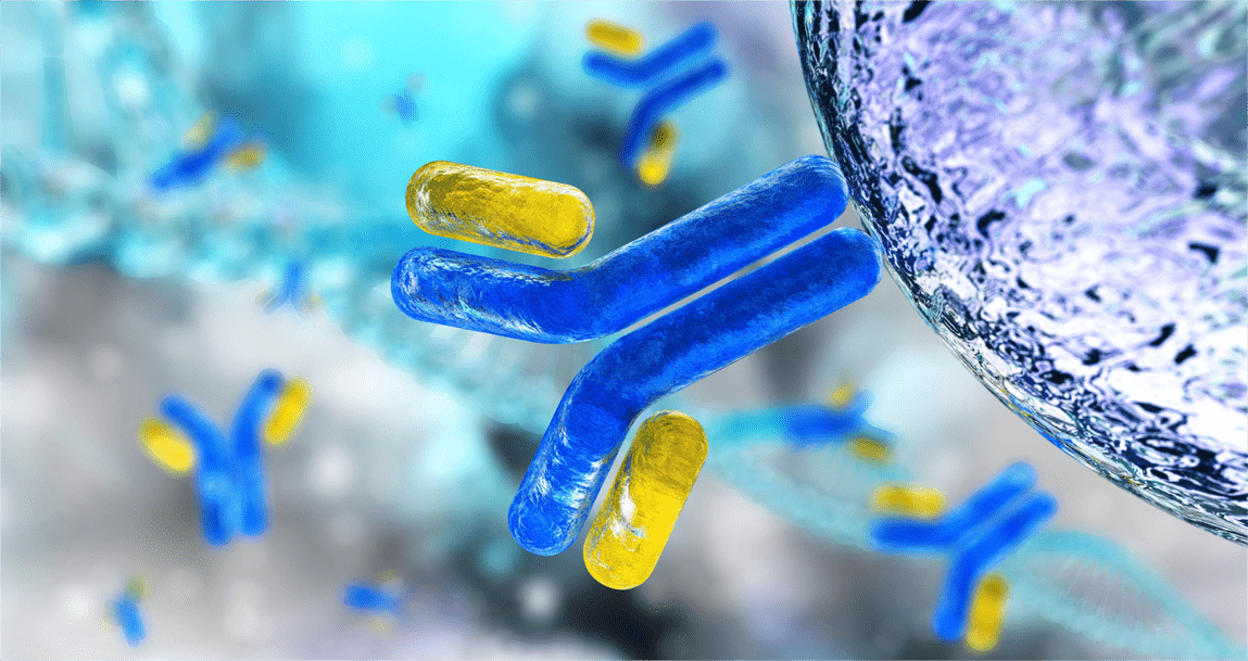 Exploring Recombinant Antibodies: Formats and Generation Methods