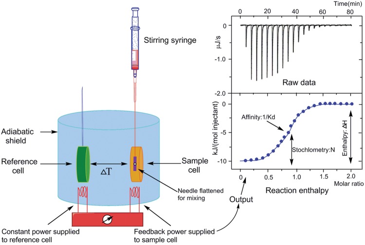 Fig. 1 Principle of isothermal titration calorimetry (ITC).