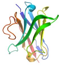 NanoScaffold Introduction