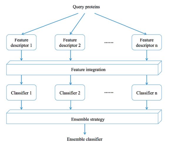 The construction type of ensemble-classifier models.