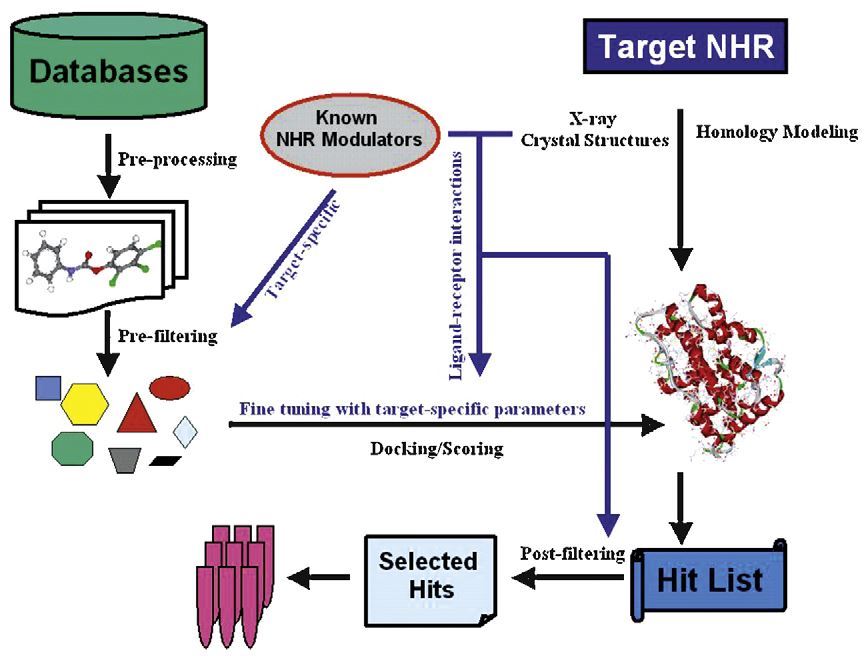 A virtual screening scheme for NRs.