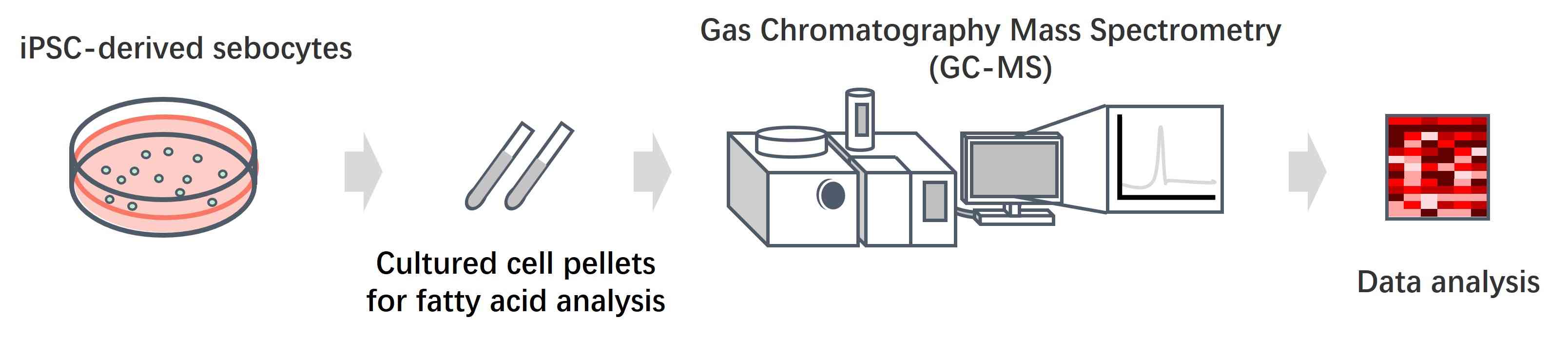 Fig.2 The workflow of fatty acid detecting. (Creative Biolabs Original)