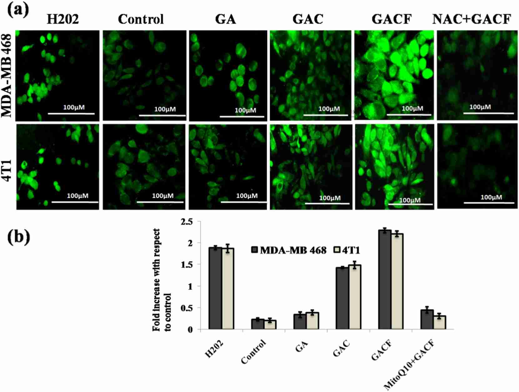 Fig.1 Quantification of intracellular ROS. (Pal, et al., 2019)