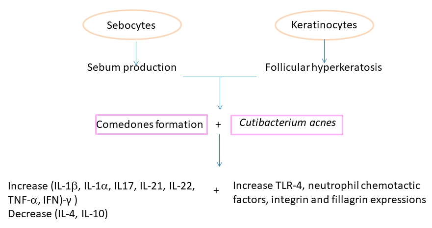 Fig. 1 Acne vulgaris related pathways. (Nascimento, et al., 2023)