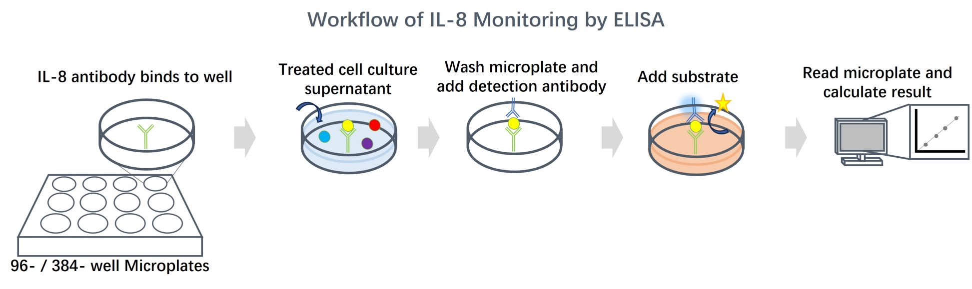 Fig. 2 Workflow of IL-8 monitoring. (Creative Biolabs Original)