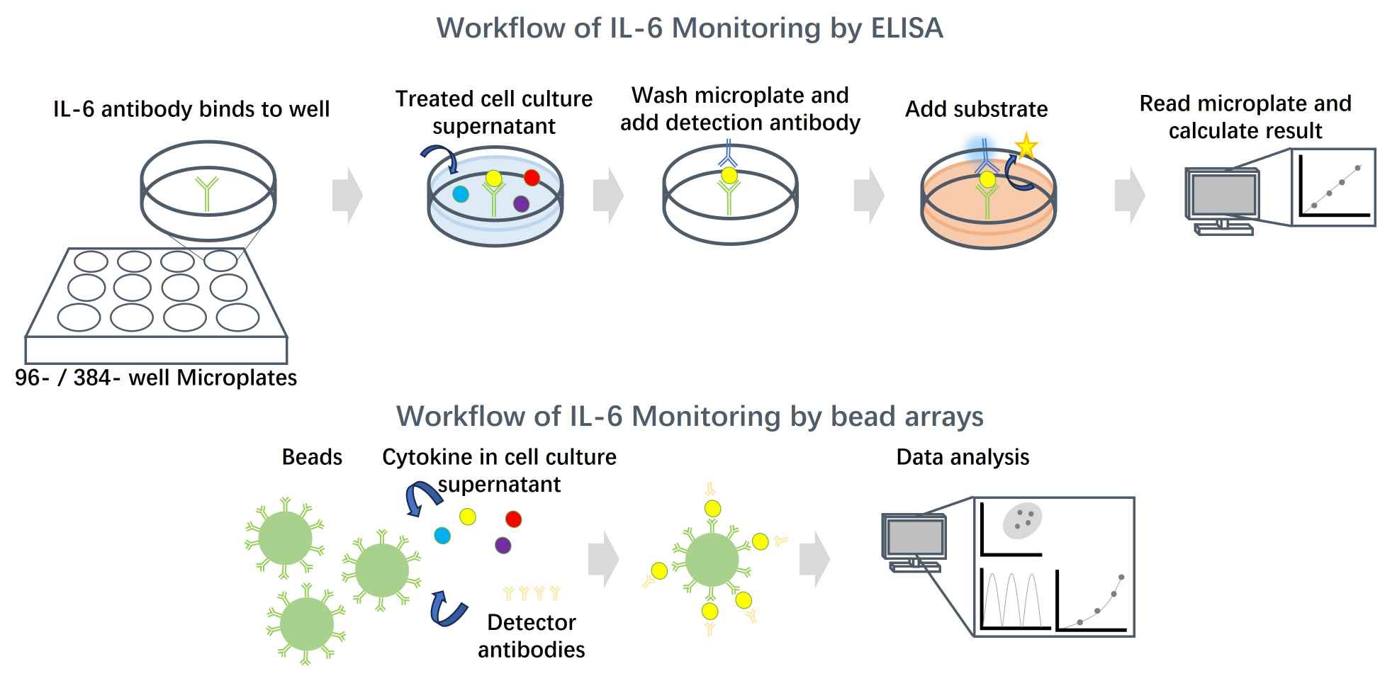 Fig.2 Workflow of IL-6 monitoring. (Creative Biolabs Original)