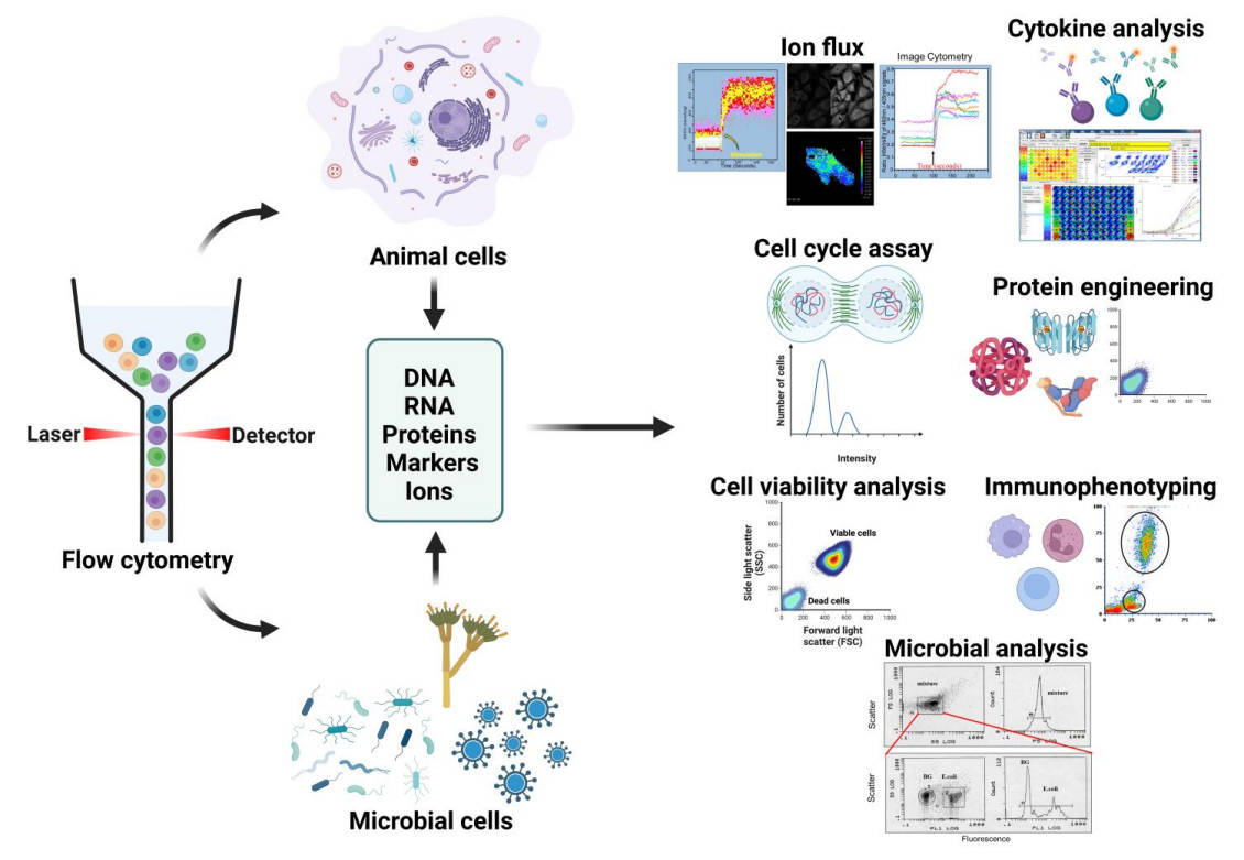 Fig.1 Applications of FC. (Robinson, et al., 2023)