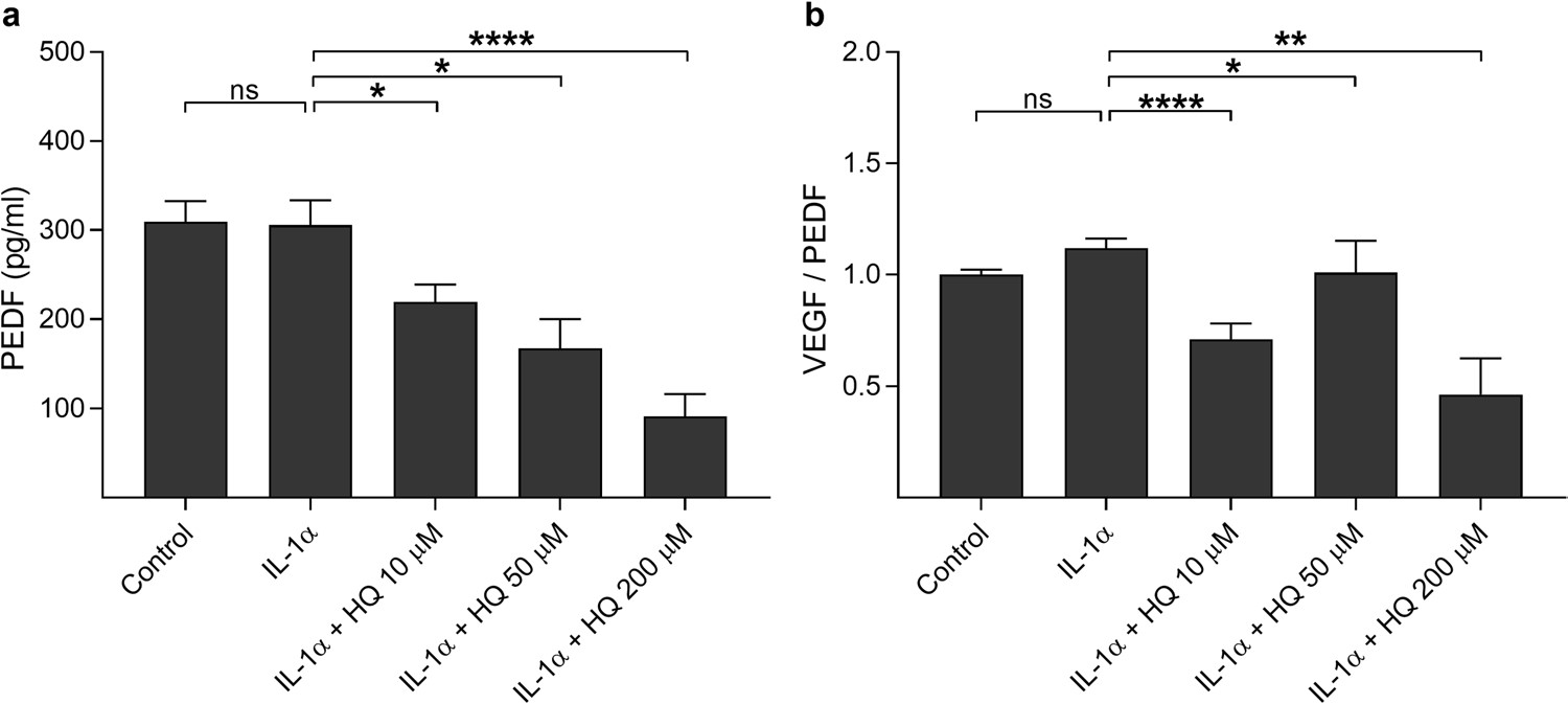 Fig.1 The effect of different concentrations of hydroquinone on PEDF secretion. (Bhattarai, et al, 2022)