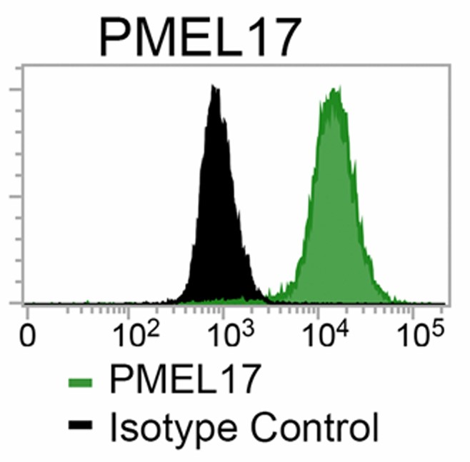 Fig.1 Flow cytometry results of PMEL17. (Limnios, et al., 2021)