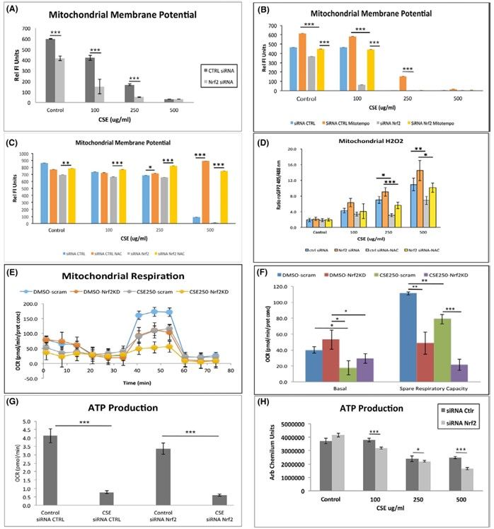 Fig.1 Detections of mitochondrial parameters in induced differentiated RPEs. (Cano, et al, 2021)