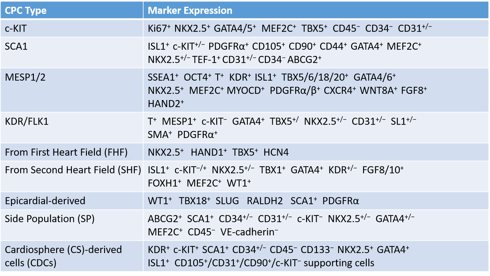 Types of CPCs identified in the heart tissue.