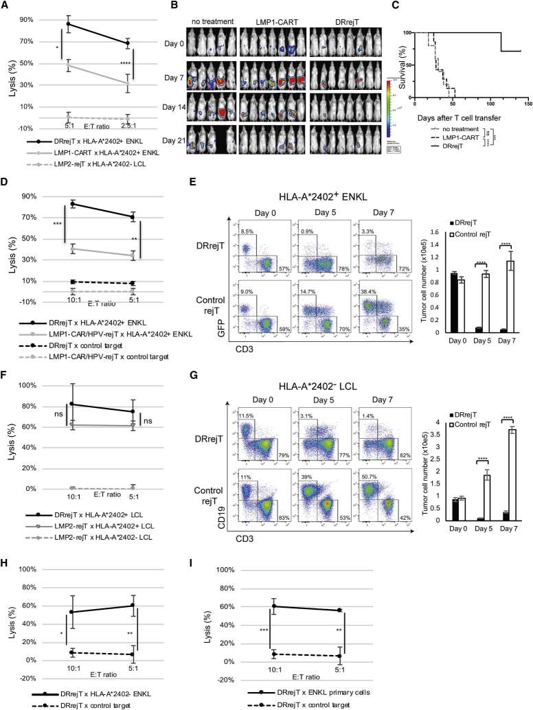 Cytotoxicity of iPSC-derived T cells. (Harada, Sakiko, et al., 2022)