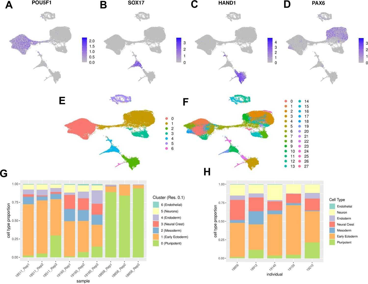 Fig. 3 Characterization of EB cell type composition. (Rhodes, Katherine, et al., 2022)