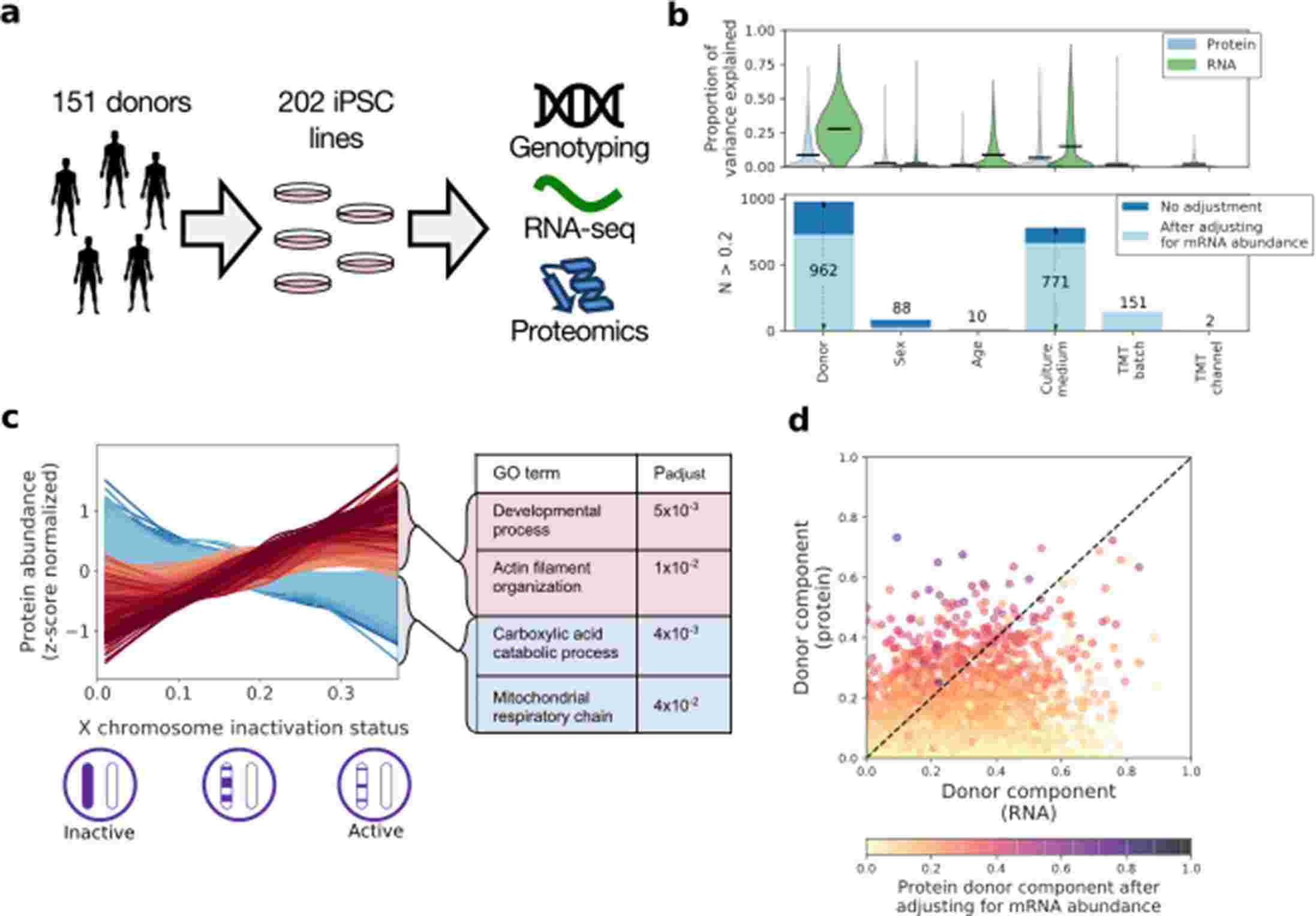 Characterization of iPSC proteome and transcriptome. (Mirauta, Bogdan Andrei, et al., 2020)