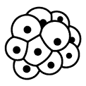 Two-color viability assays