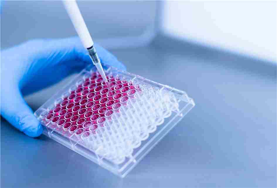 iPSC Characterization (Creative Biolabs Authorized)