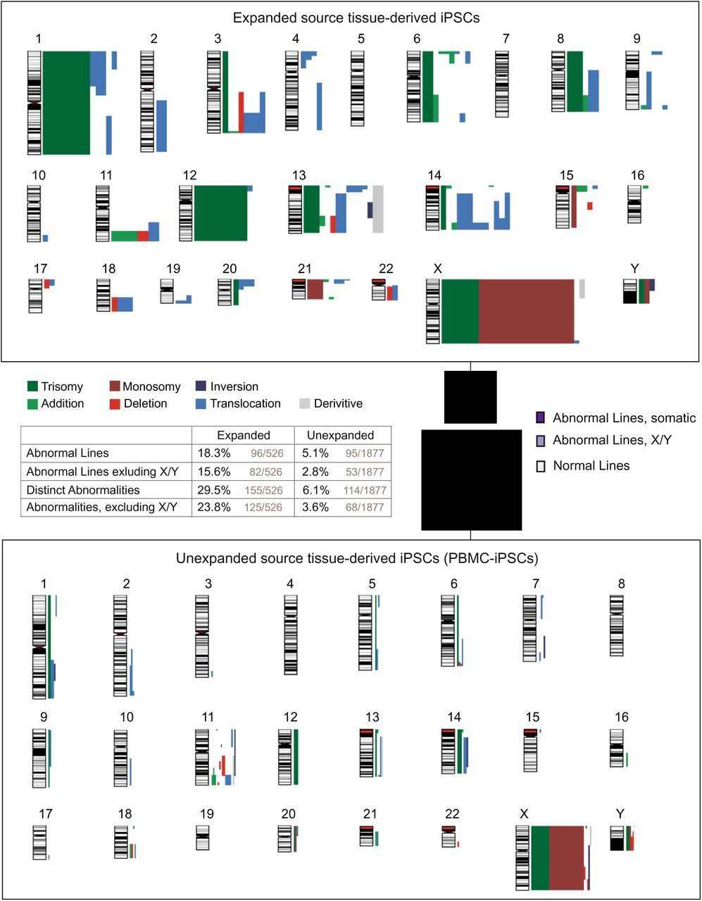 Fig. 2 G-bonding Karyotyping for PBMC-iPSC. (Panther, Lindsay, et al., 2021)