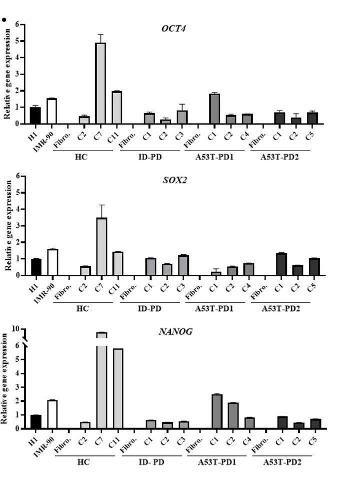 Fig. 3 RT-qPCR analysis of pluripotency genes of generated iPSCs. (Swaidan, Nuha T., et al., 2020)