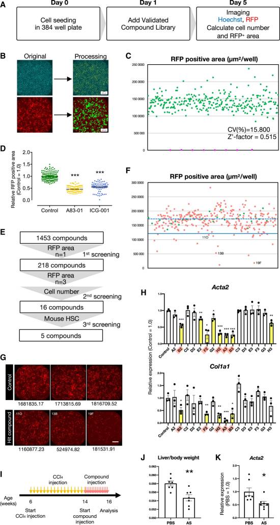 Screening of therapeutic agents for liver fibrosis usingiPSCs-derived qHSC-like cells. (Koui, Yuta, et al., 2021)