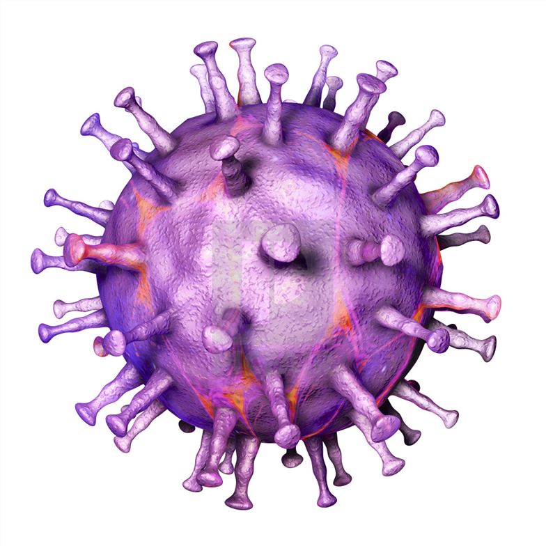 Vaccines for African Swine Fever Virus - Creative Biolabs